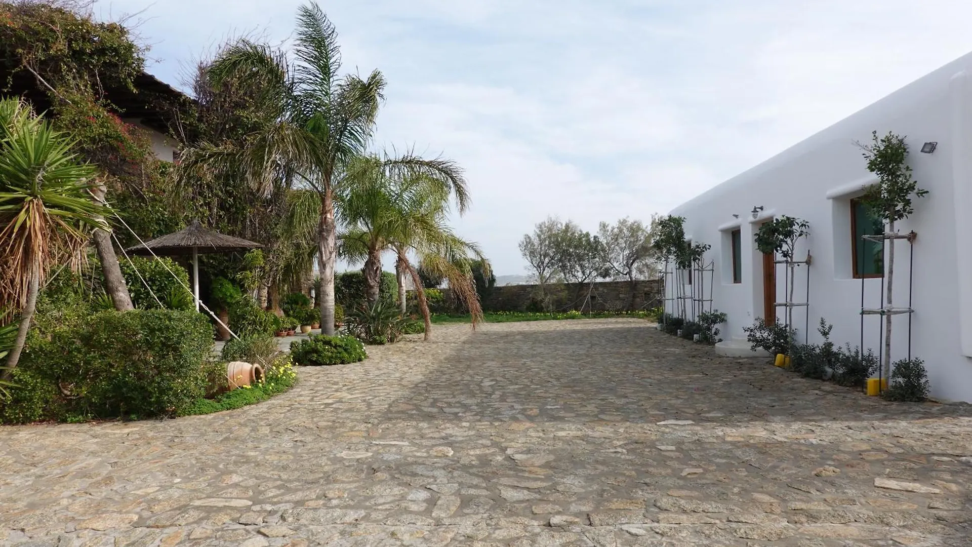 Divers House Agrari  0*, Agrari (Mykonos) Grèce