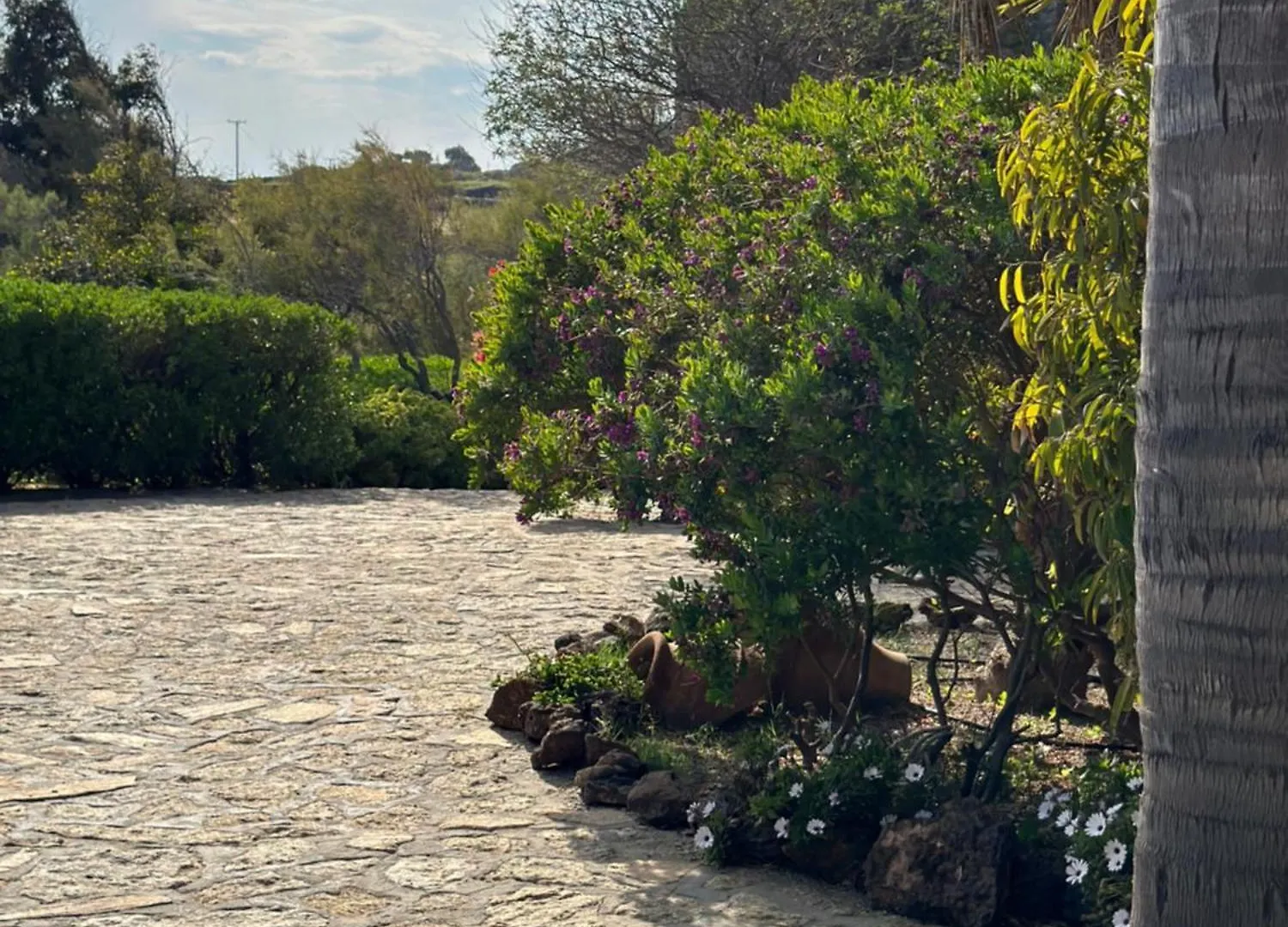 Divers House Agrari  Appartement Agrari (Mykonos)