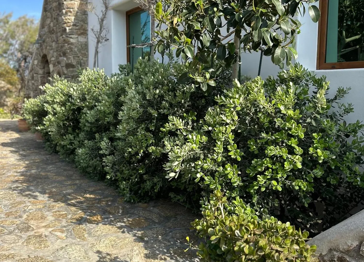 Appartement Divers House Agrari